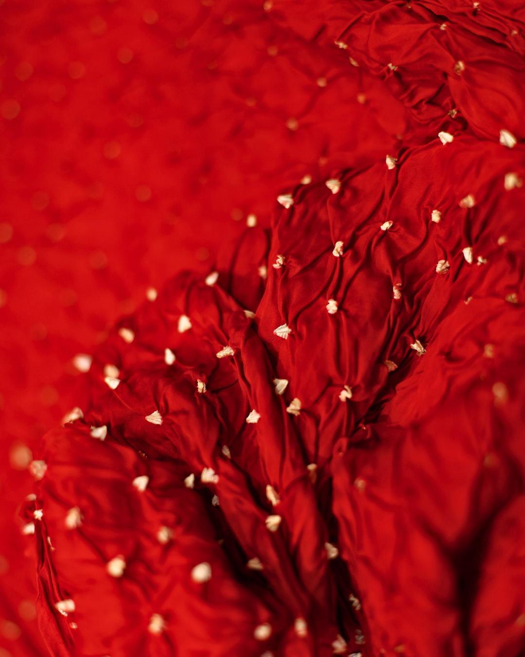 Pure Modal Red Bandhej Saree Cut – 6 Meter