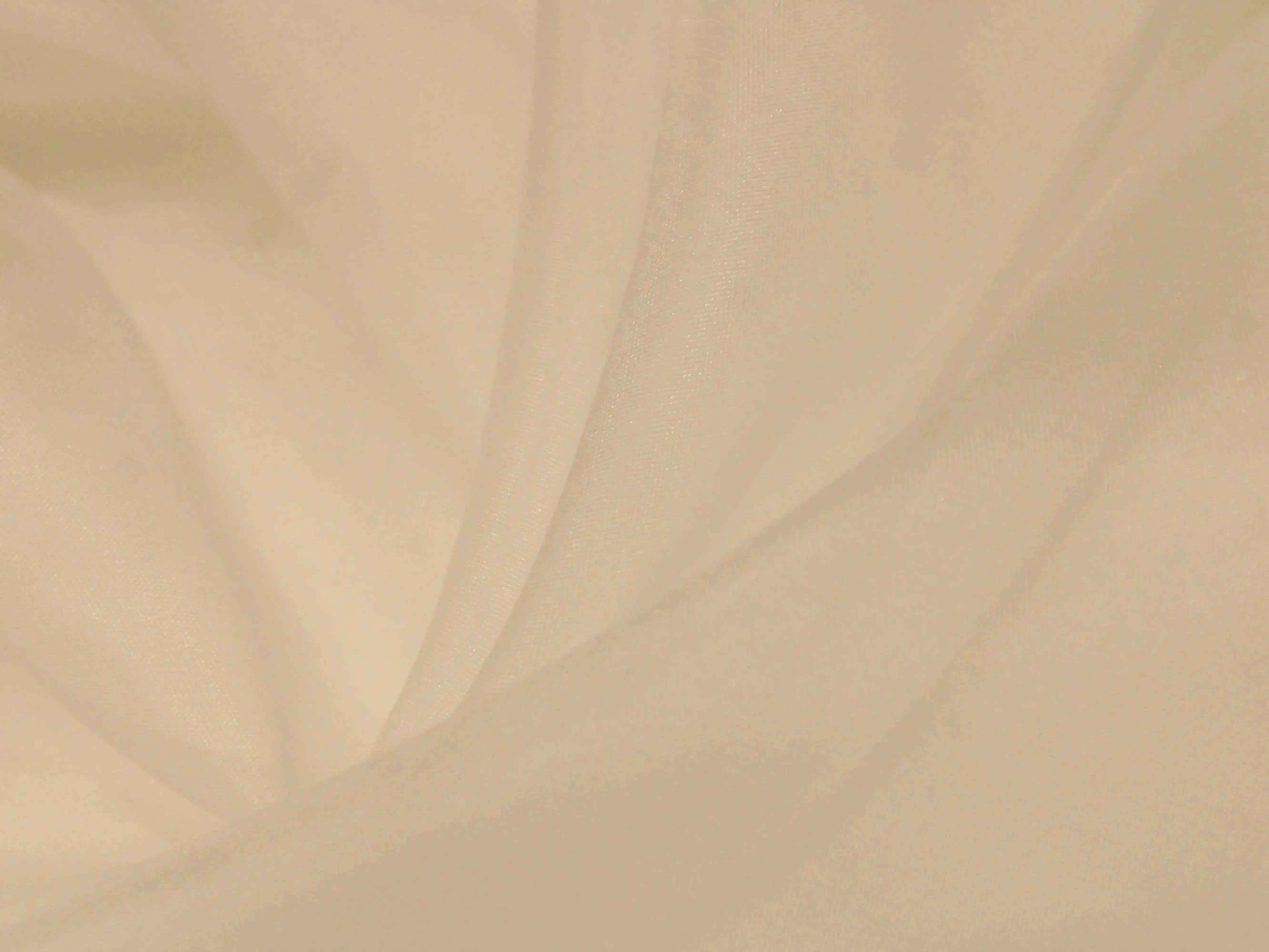 Dyeable Organza Fabric