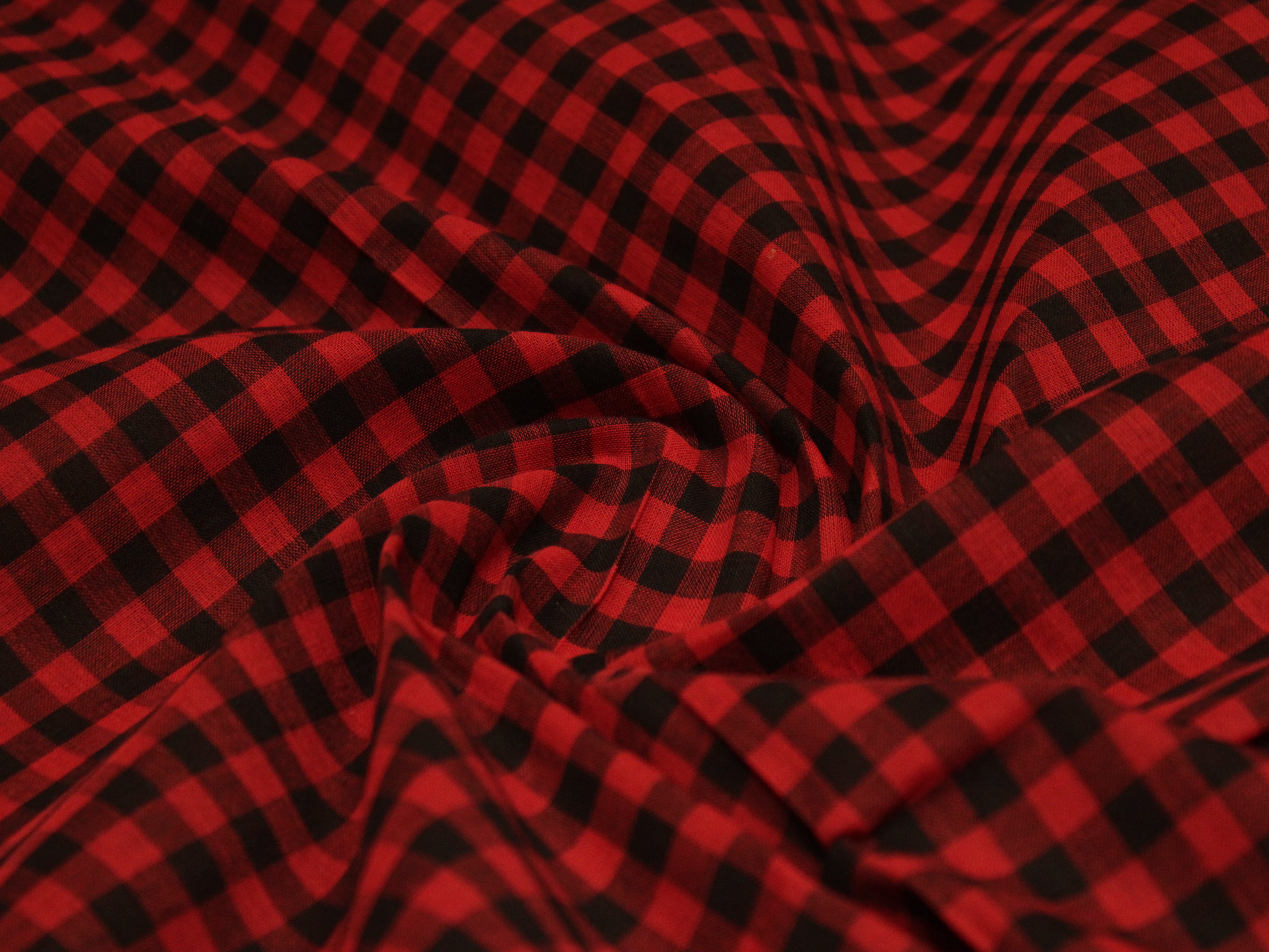 Checked Handloom Pure Cotton Woven Fabric