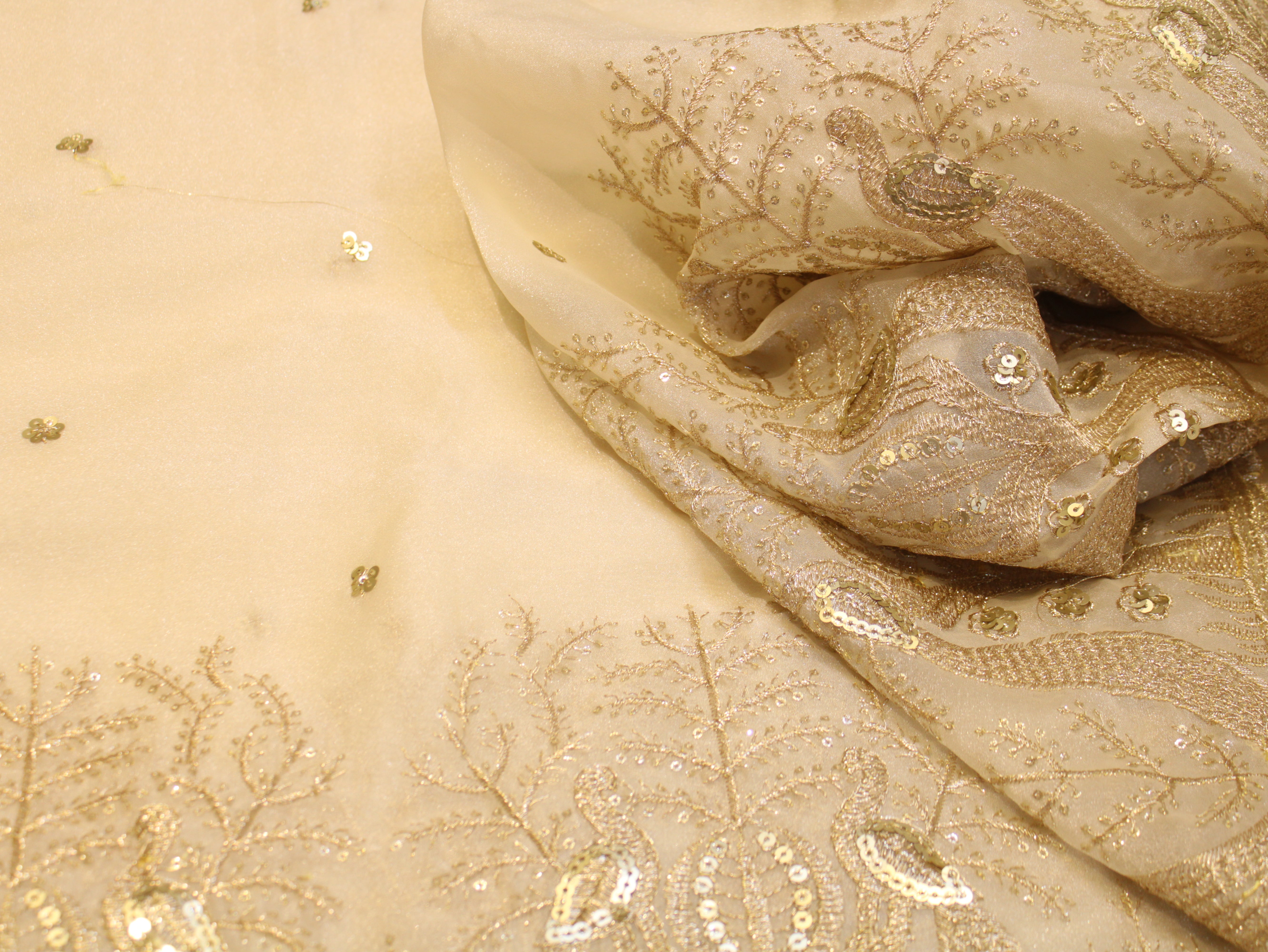 Soft Organza Tissue Fabric with Zari & Sequin Panel Work - Ivory