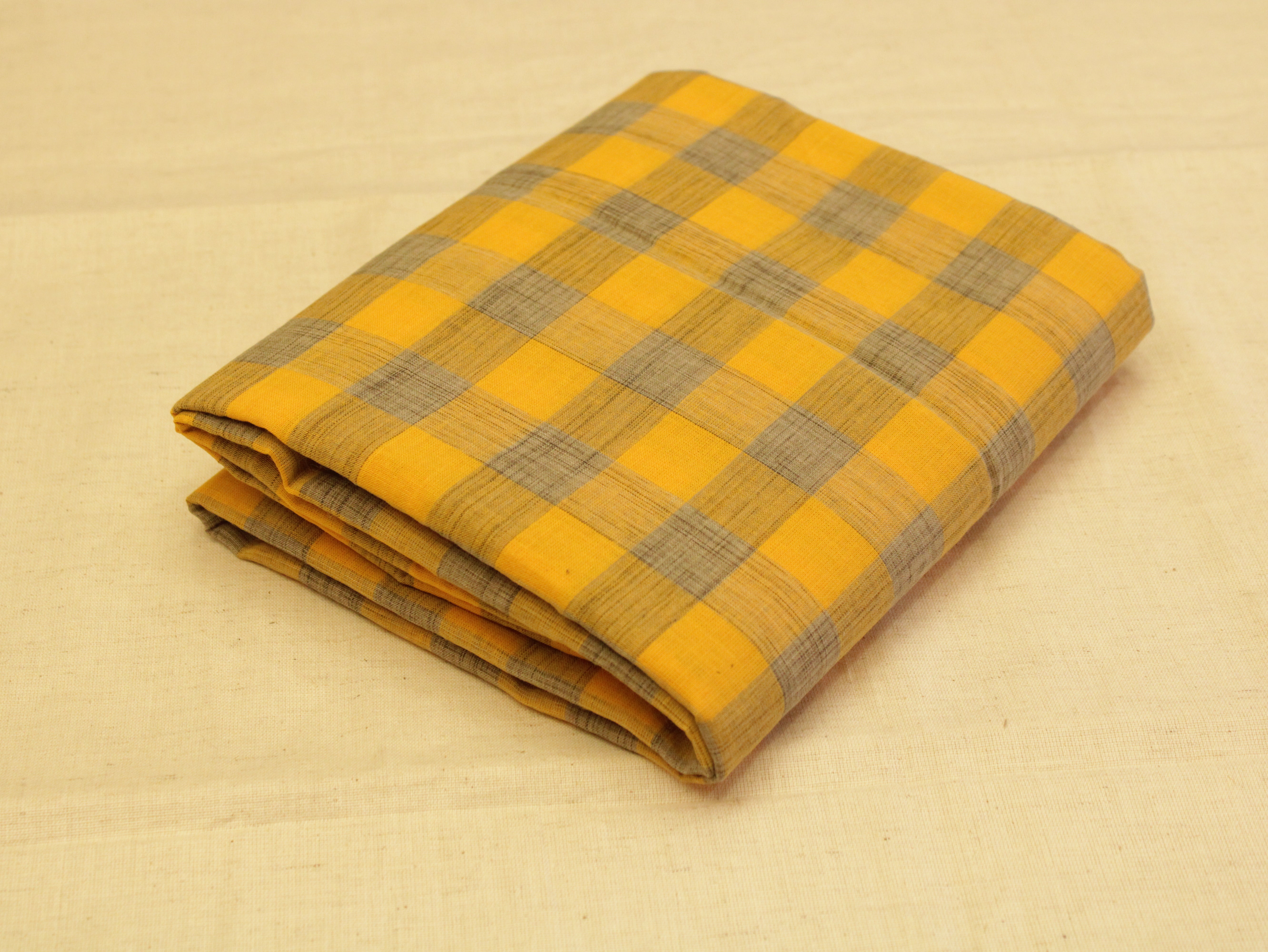 Checked Handloom Pure Cotton Woven Fabric