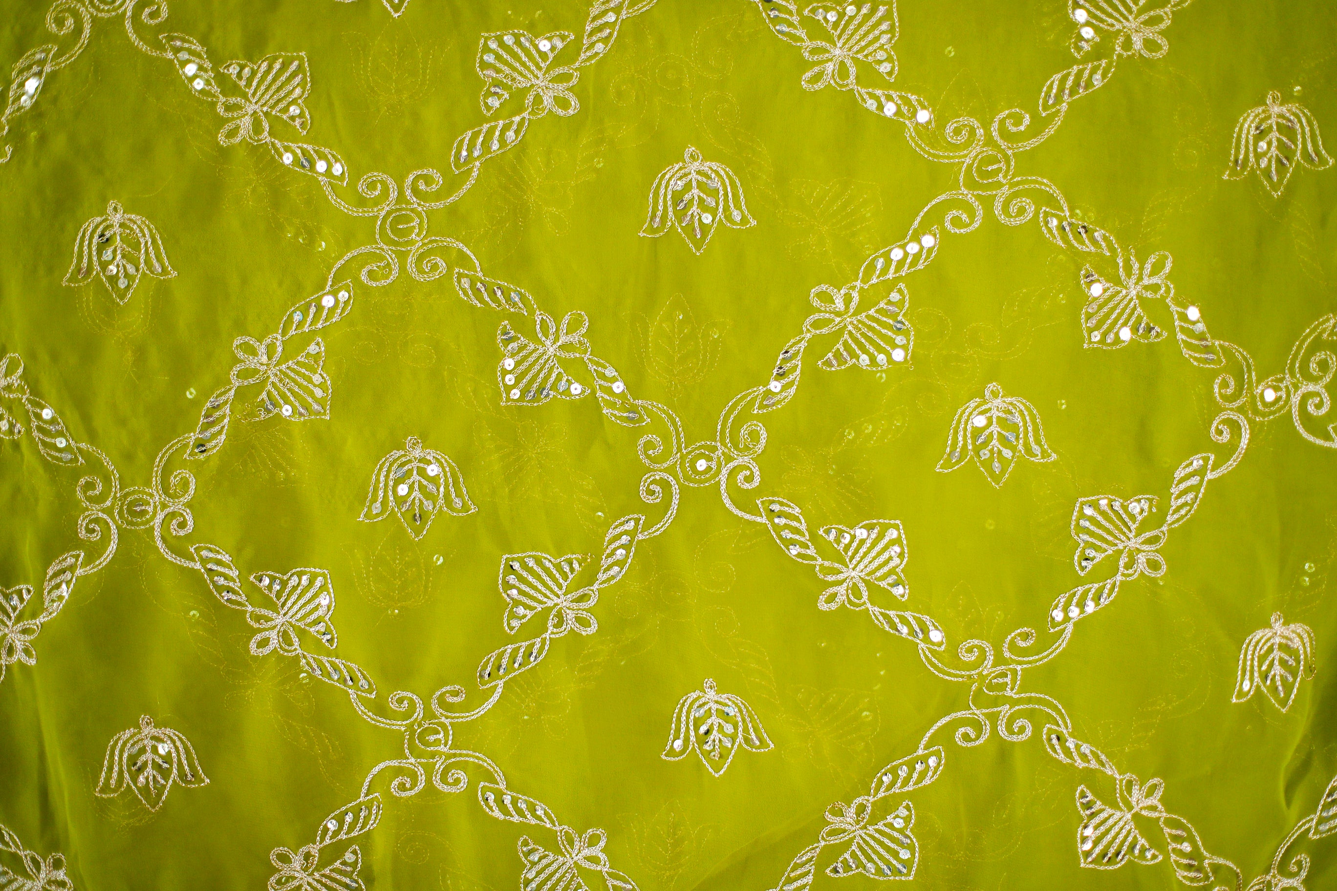 Fox Georgette Vintage Zari Work Dupatta - Light Mehendi Green