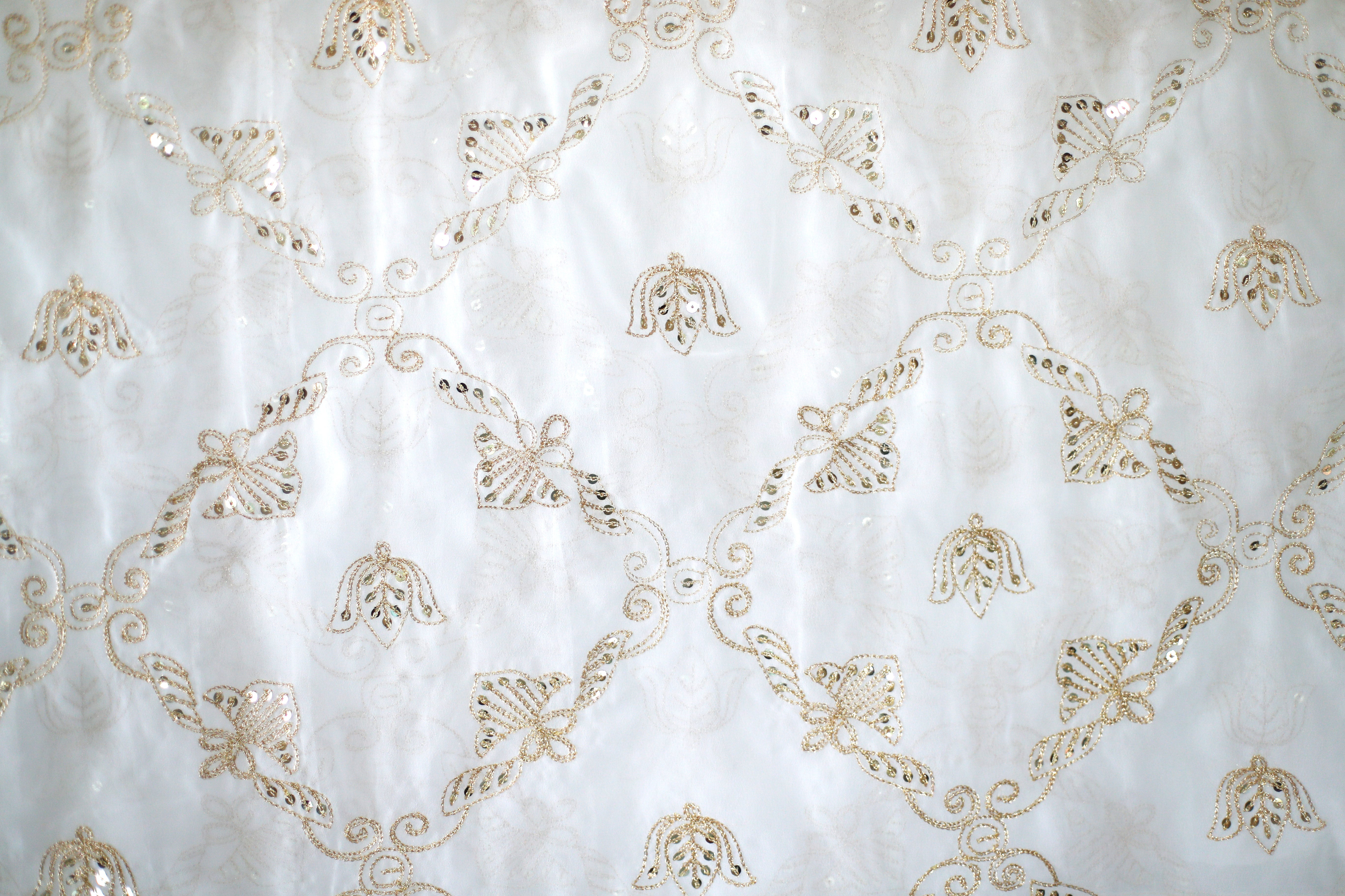 Fox Georgette Vintage Zari Work Dupatta - White