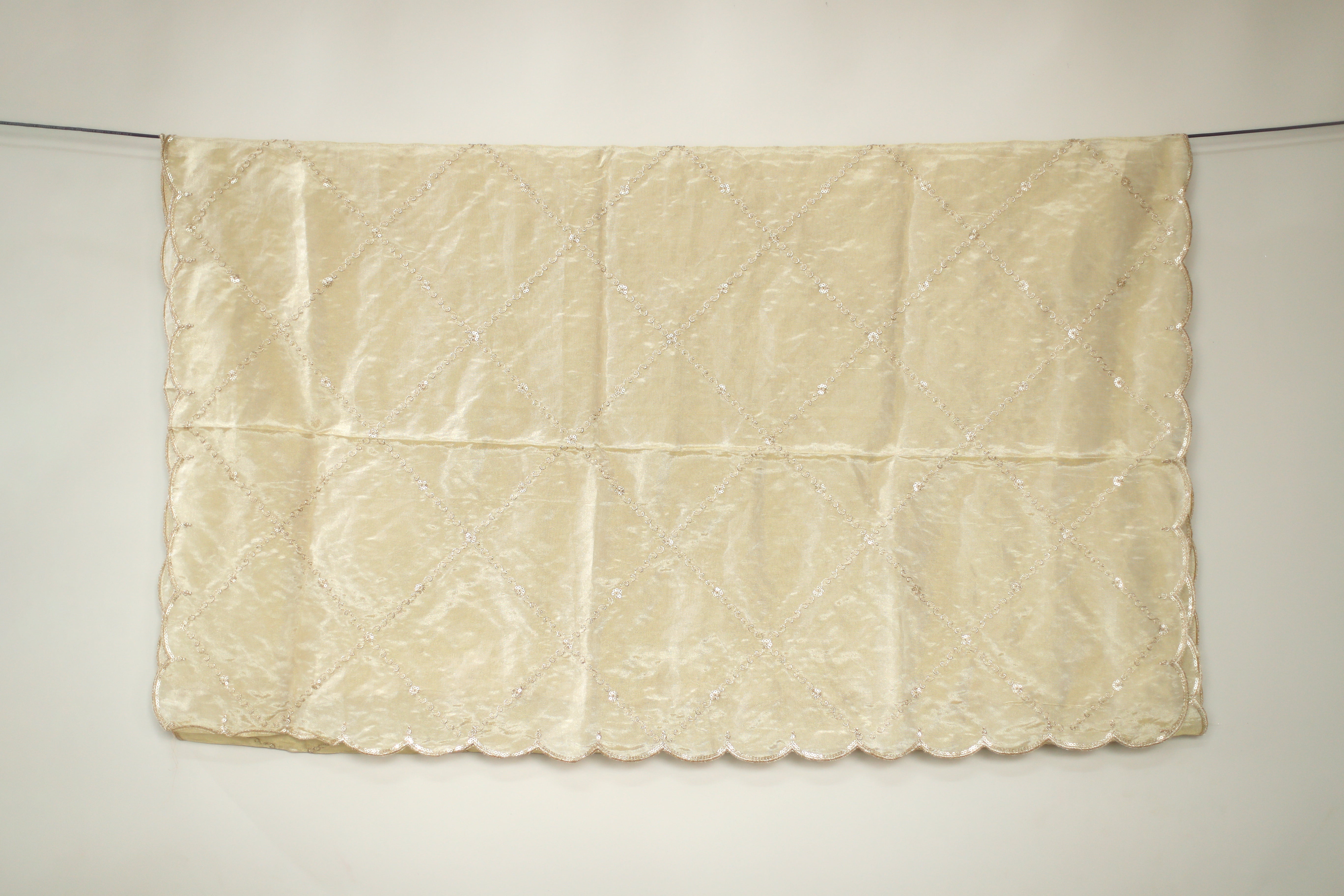 Tissue Zari Woven Work Dupatta - Dyeable