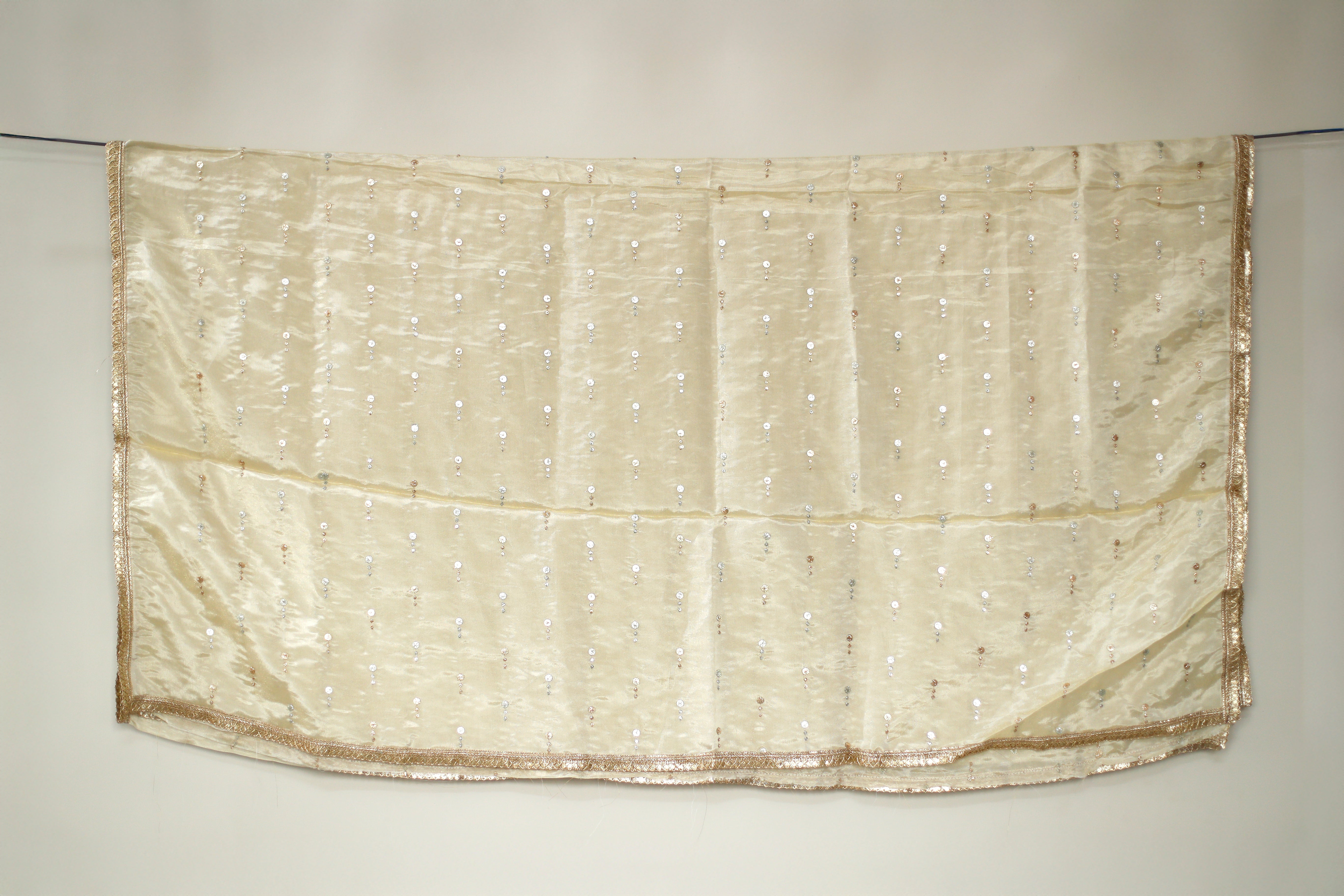 Tissue Zari Woven Work Dupatta - Dyeable