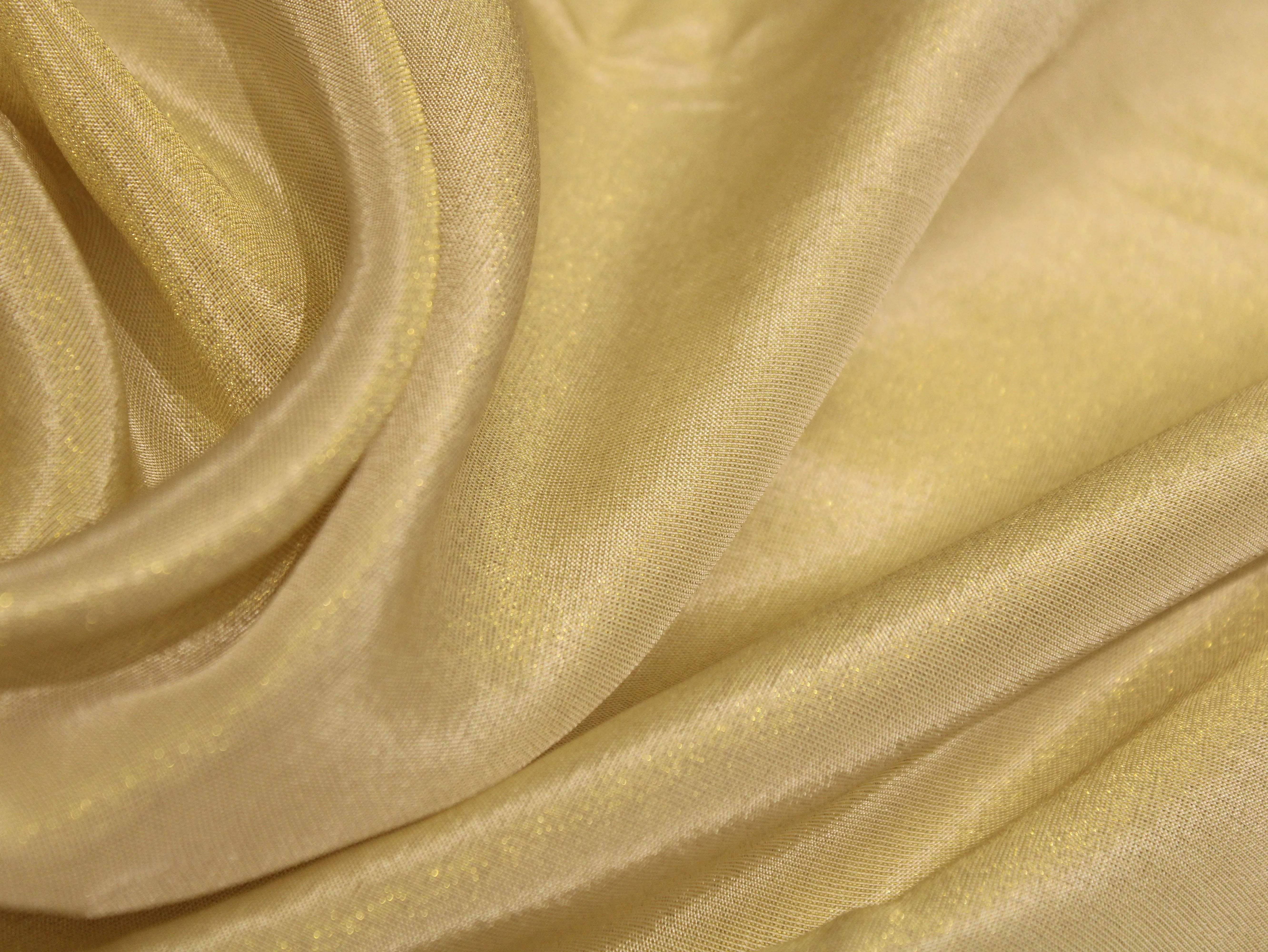 Ivory Elegance: Premium Banarasi Tissue Silk Fabric - Golden - M'Foks