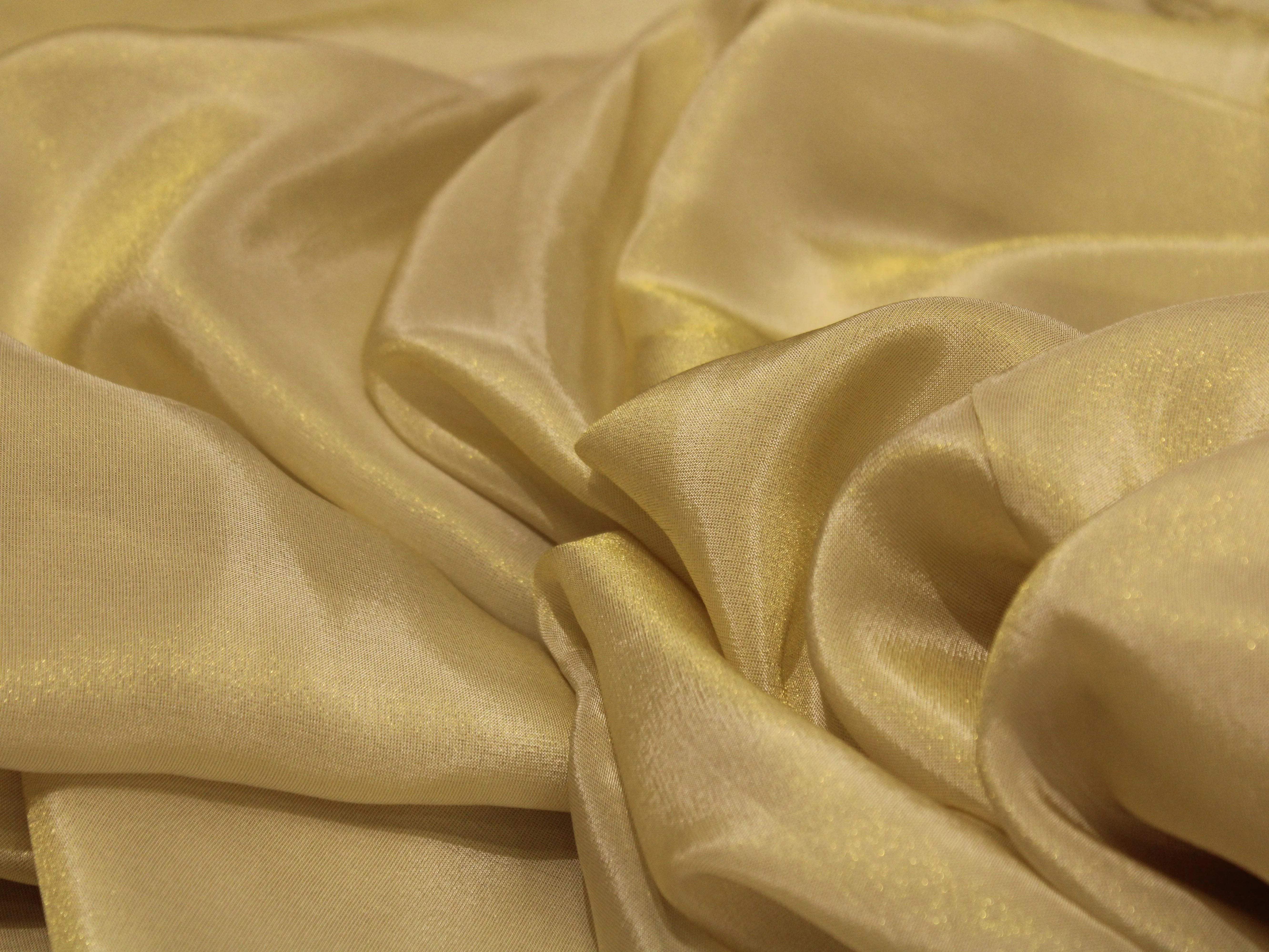 Ivory Elegance: Premium Banarasi Tissue Silk Fabric - Golden - M'Foks