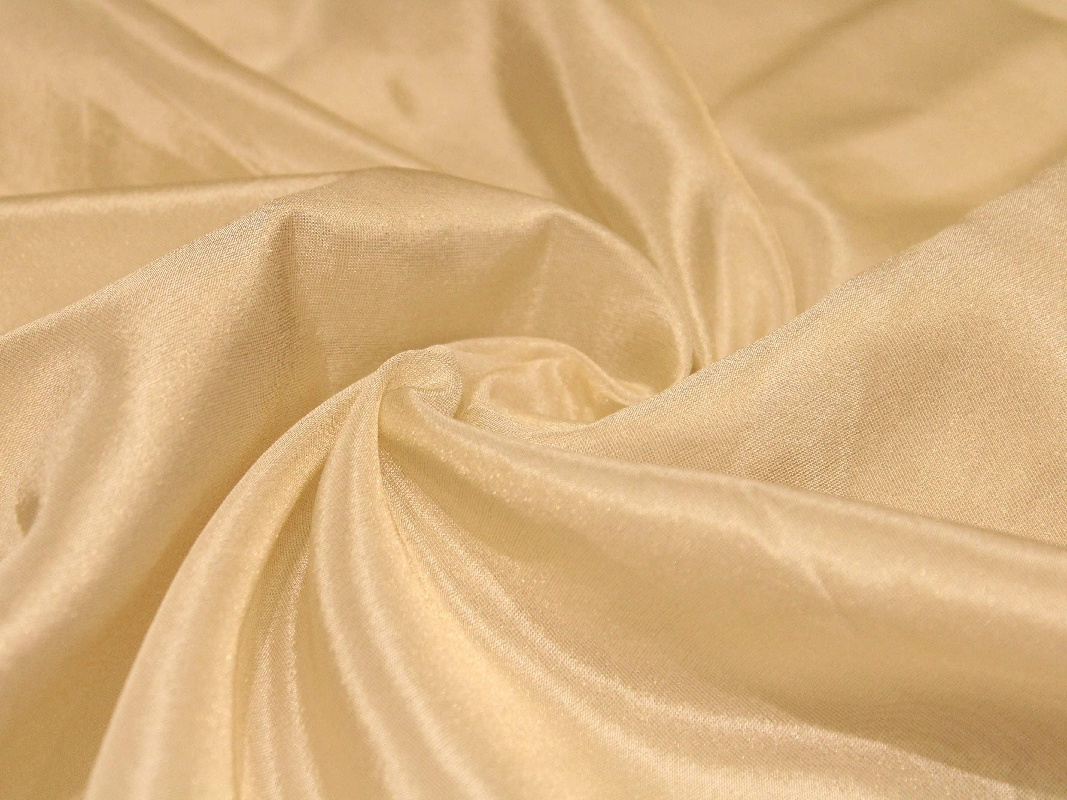 Ivory Elegance: Premium Banarasi Tissue Silk Fabric - Ivory - M'Foks