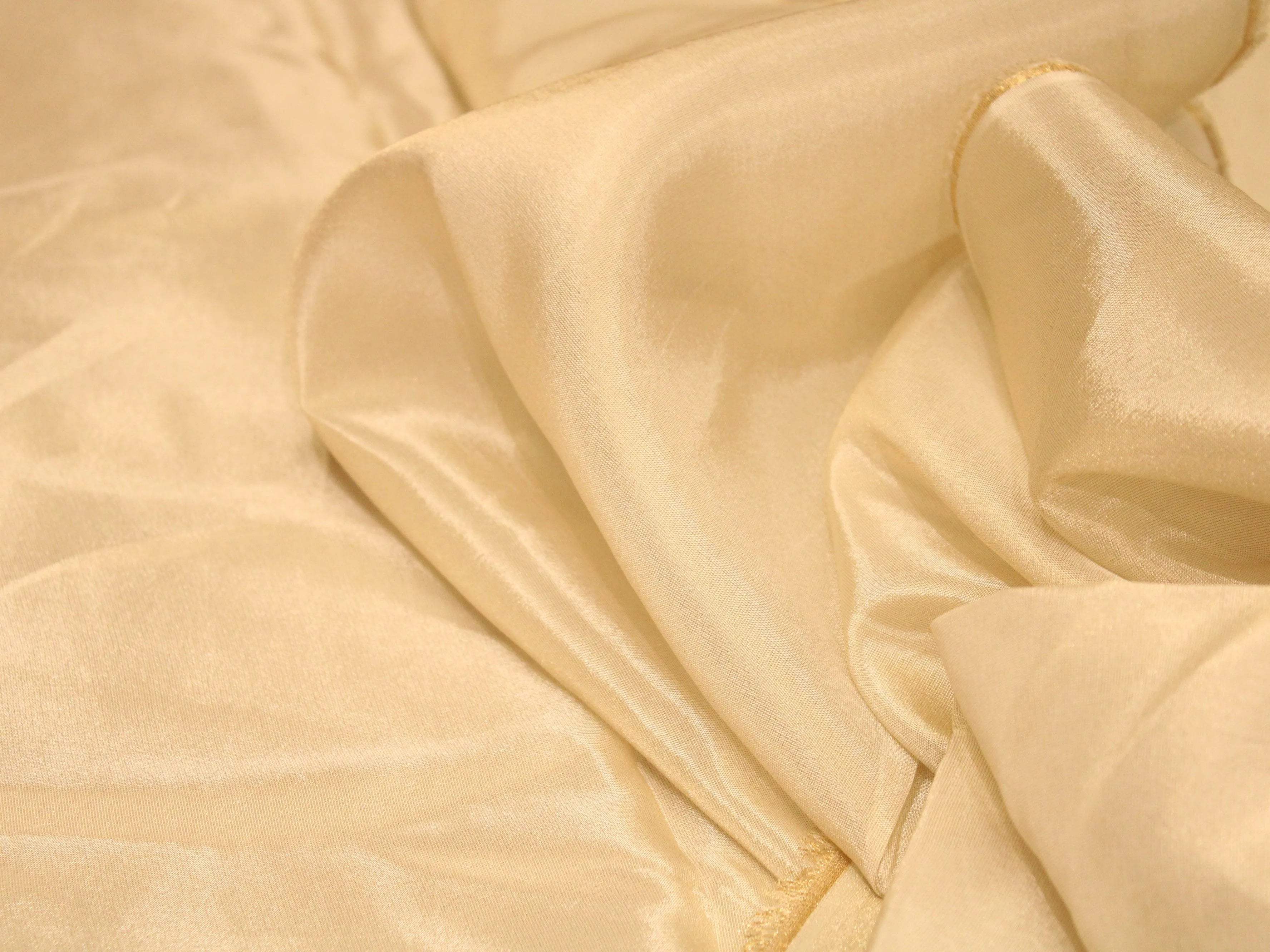 Ivory Elegance: Premium Banarasi Tissue Silk Fabric - Ivory - M'Foks