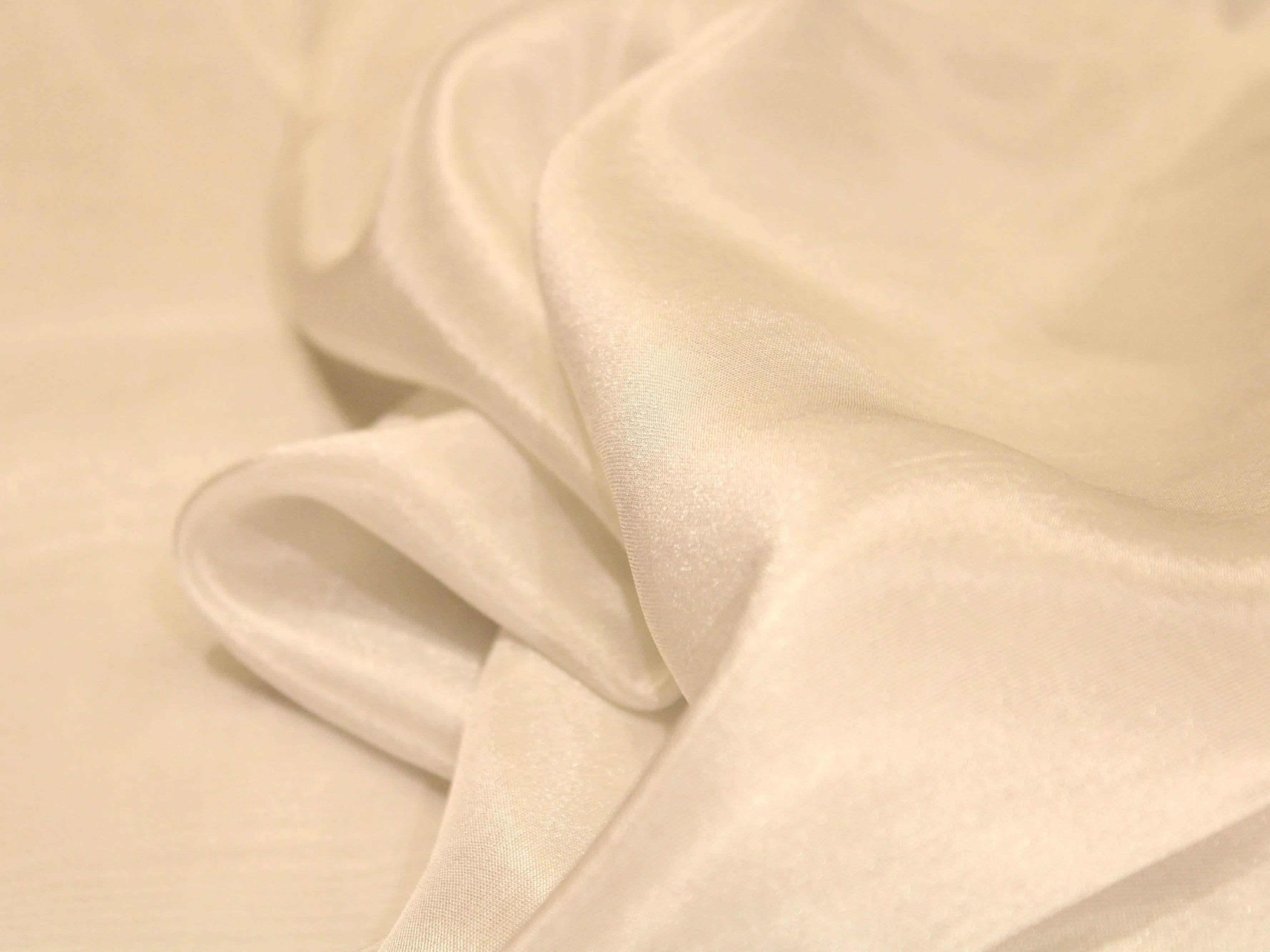 Ivory Banarasi tissue silk fabric with soft, shimmery texture and smooth drape