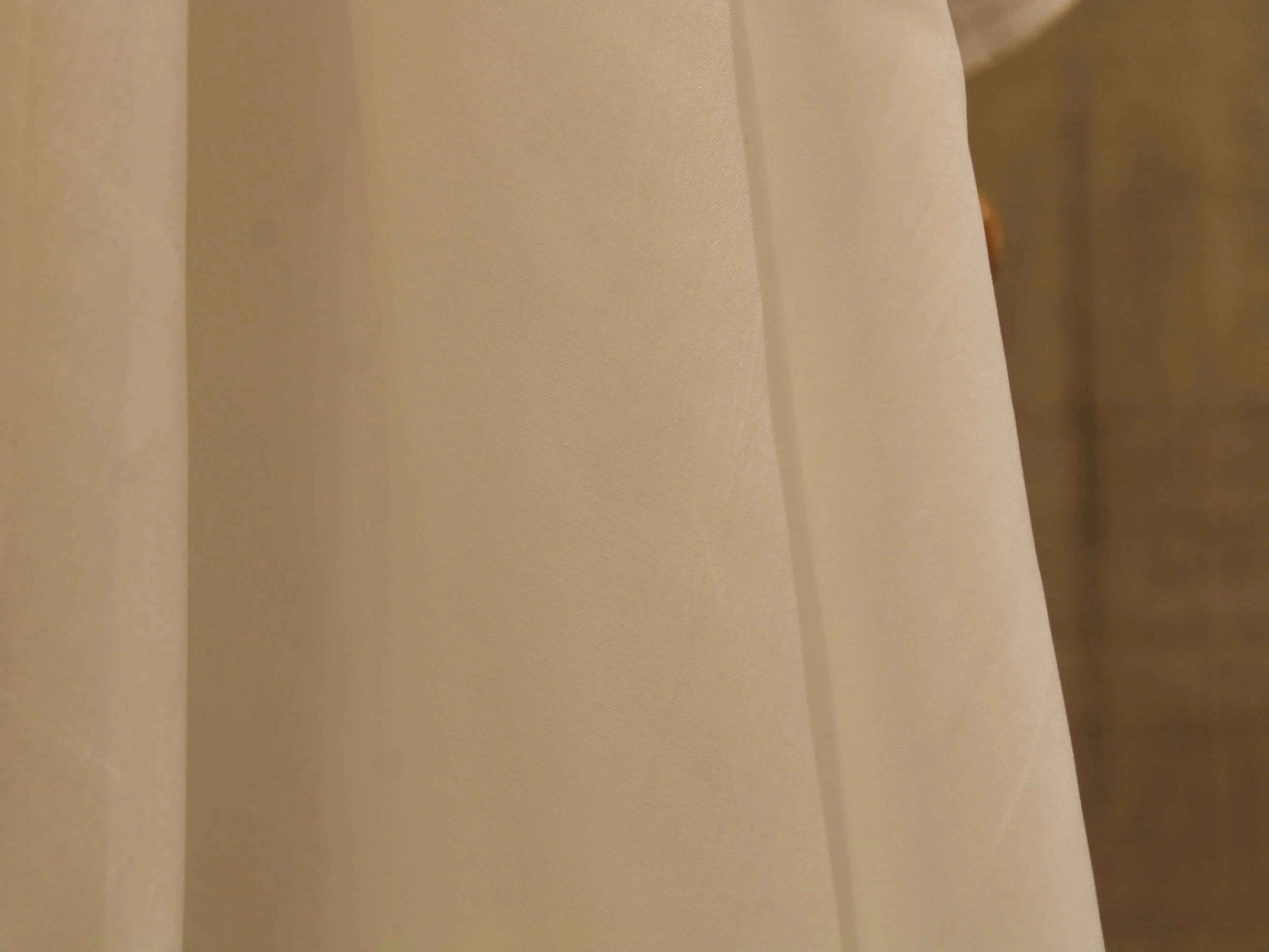 Plain White Dyeable Pure Organza Fabric