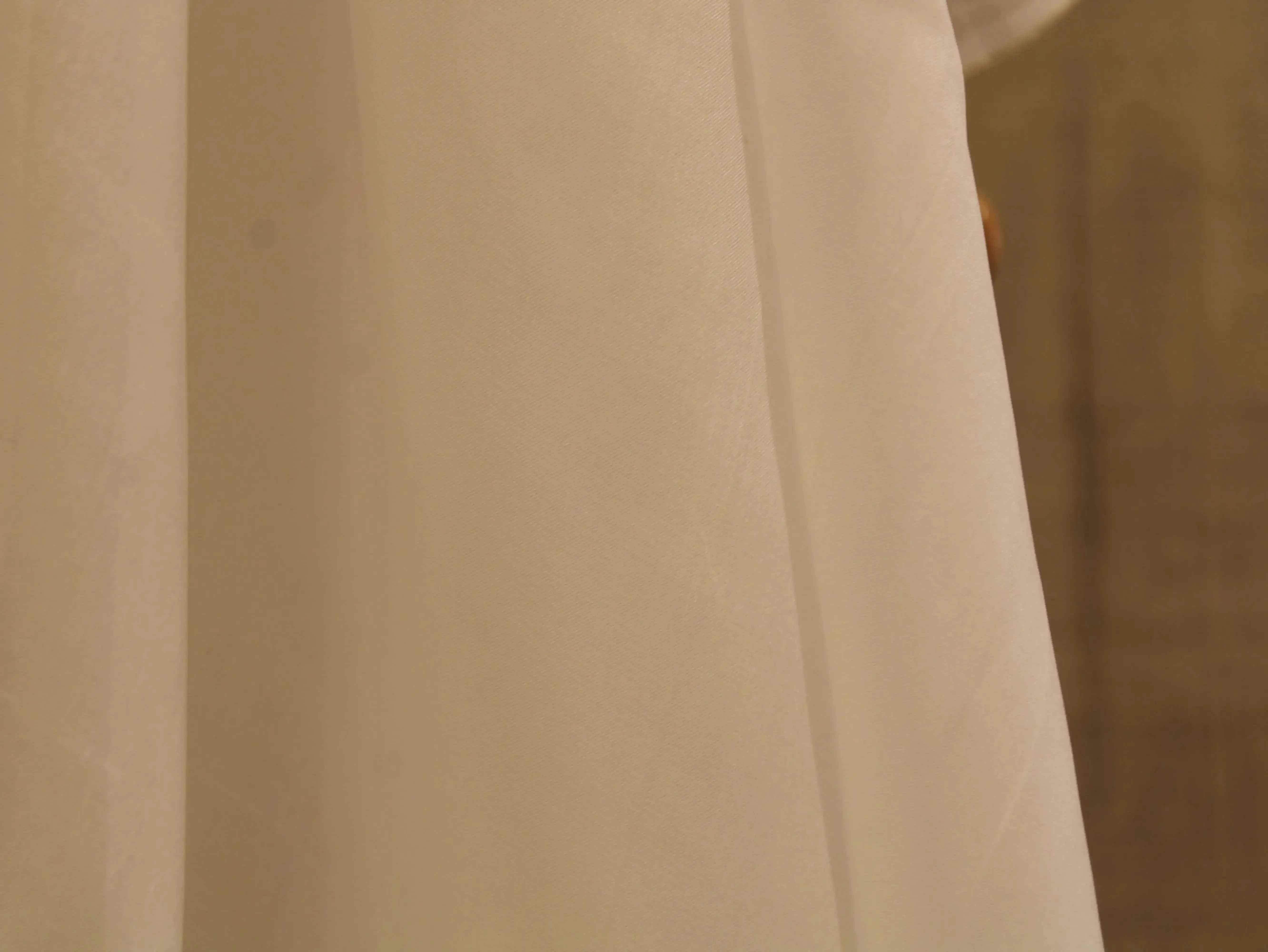 Plain White Dyeable Pure Organza Fabric