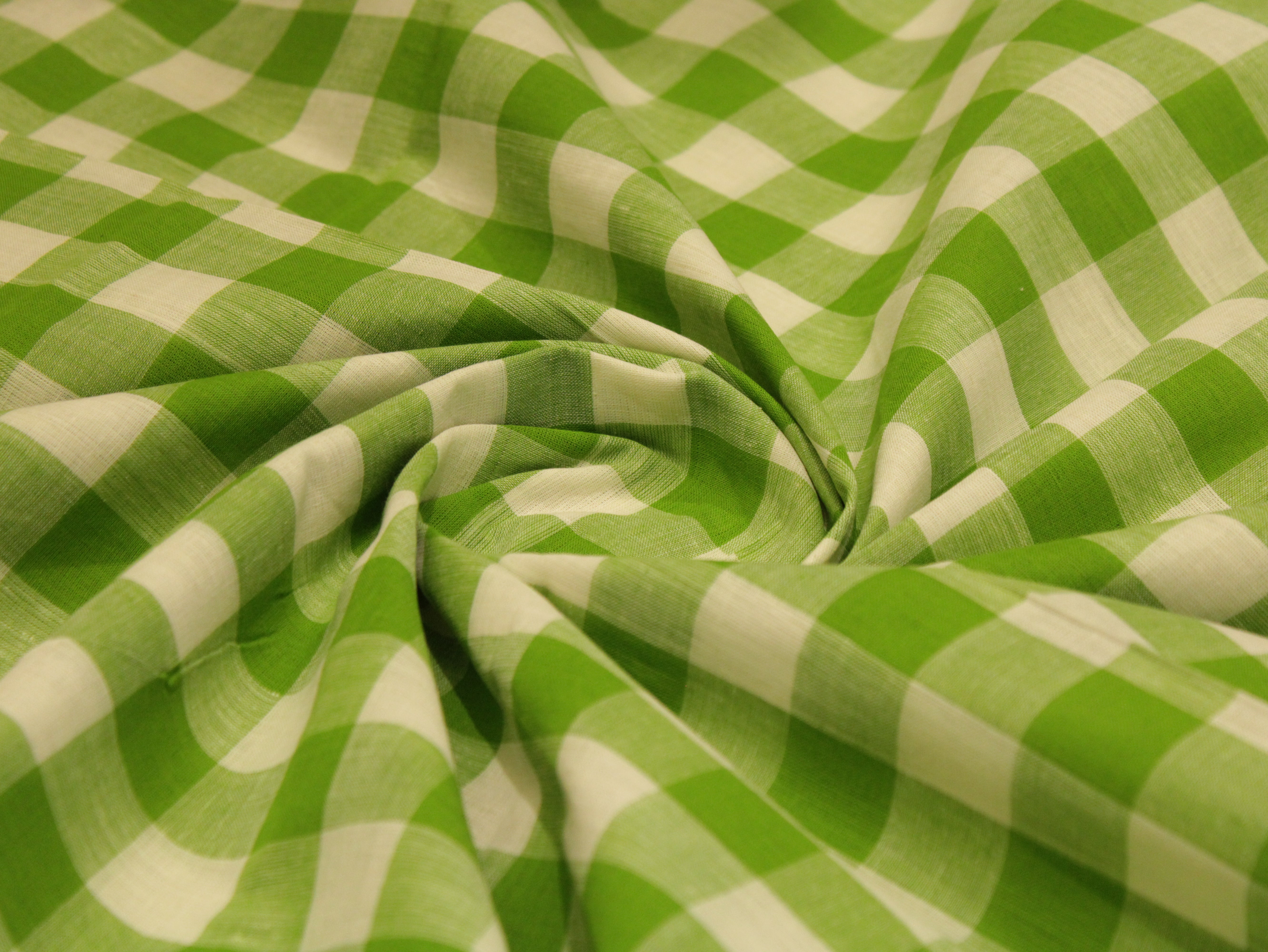 Checked Handloom Pure Cotton Woven Fabric