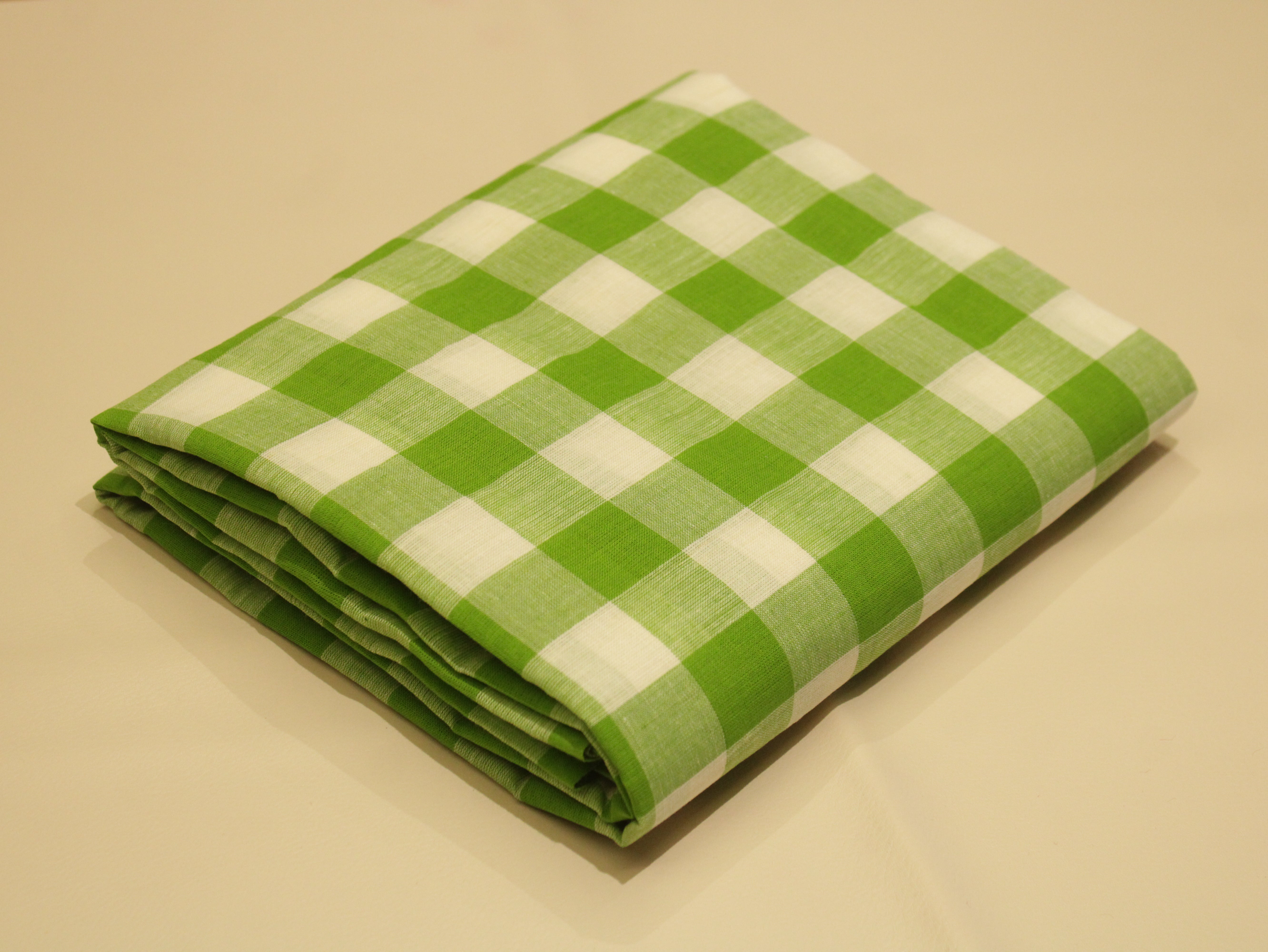 Checked Handloom Pure Cotton Woven Fabric