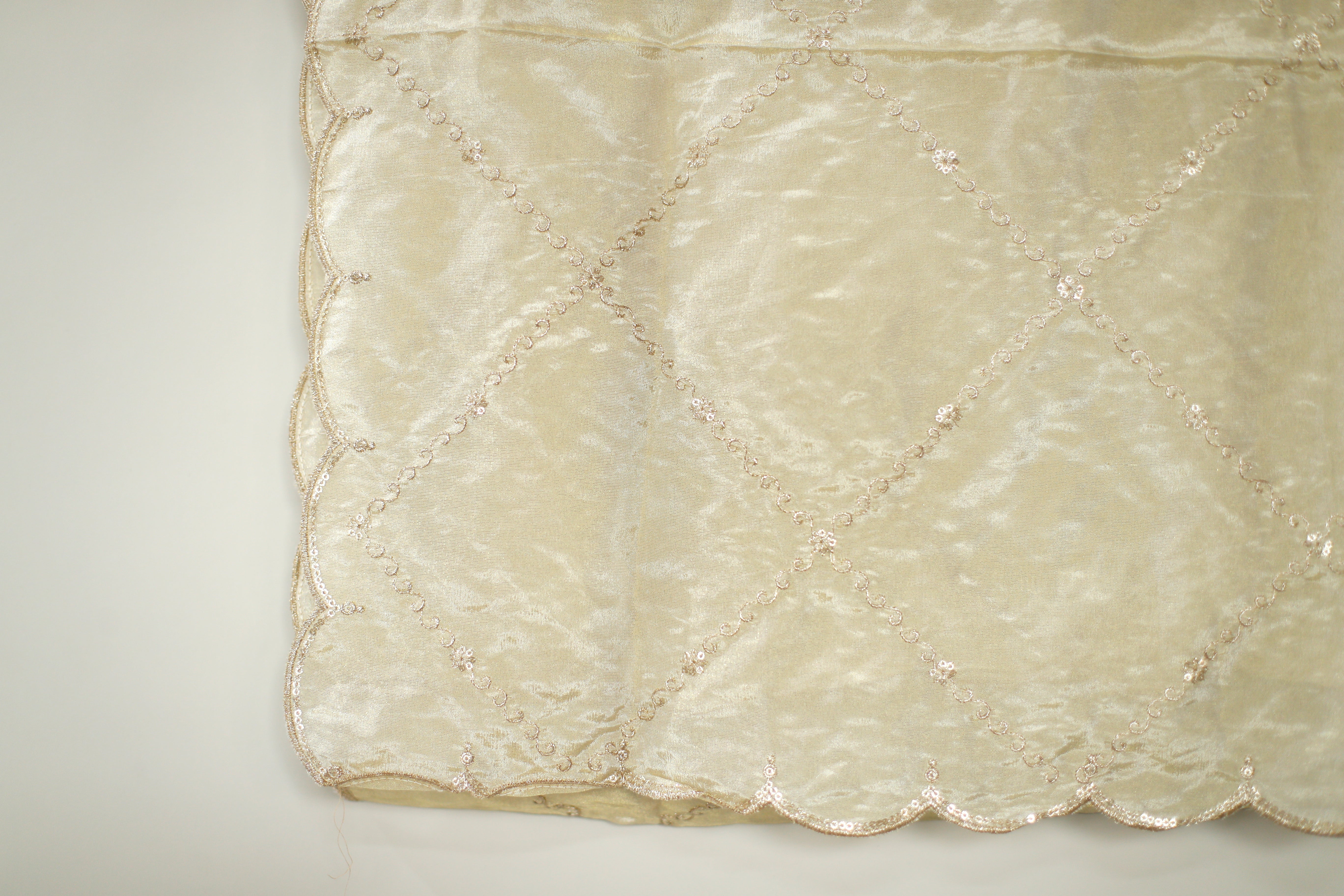 Tissue Zari Woven Work Dupatta - Dyeable