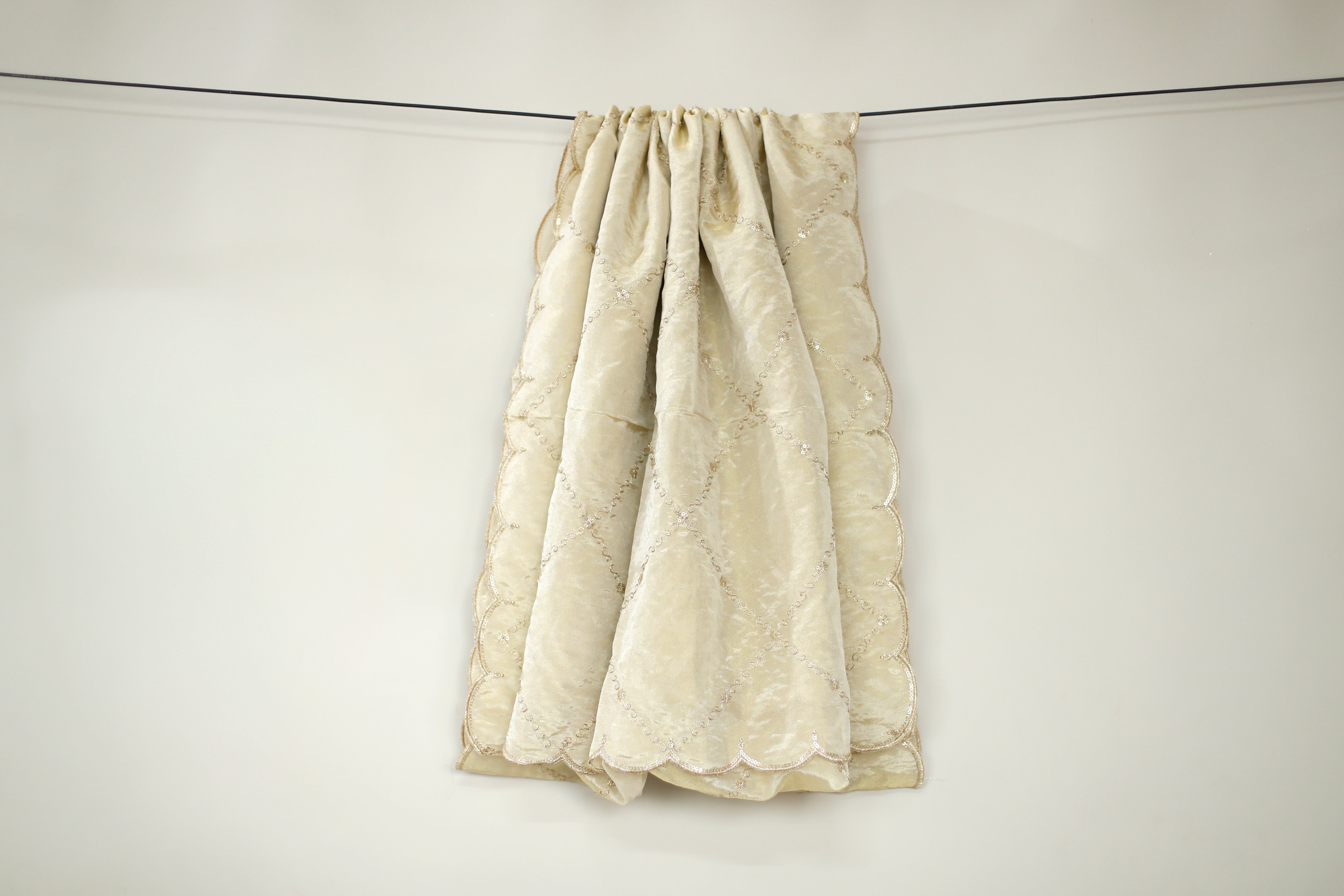 Tissue Zari Woven Work Dupatta - Dyeable