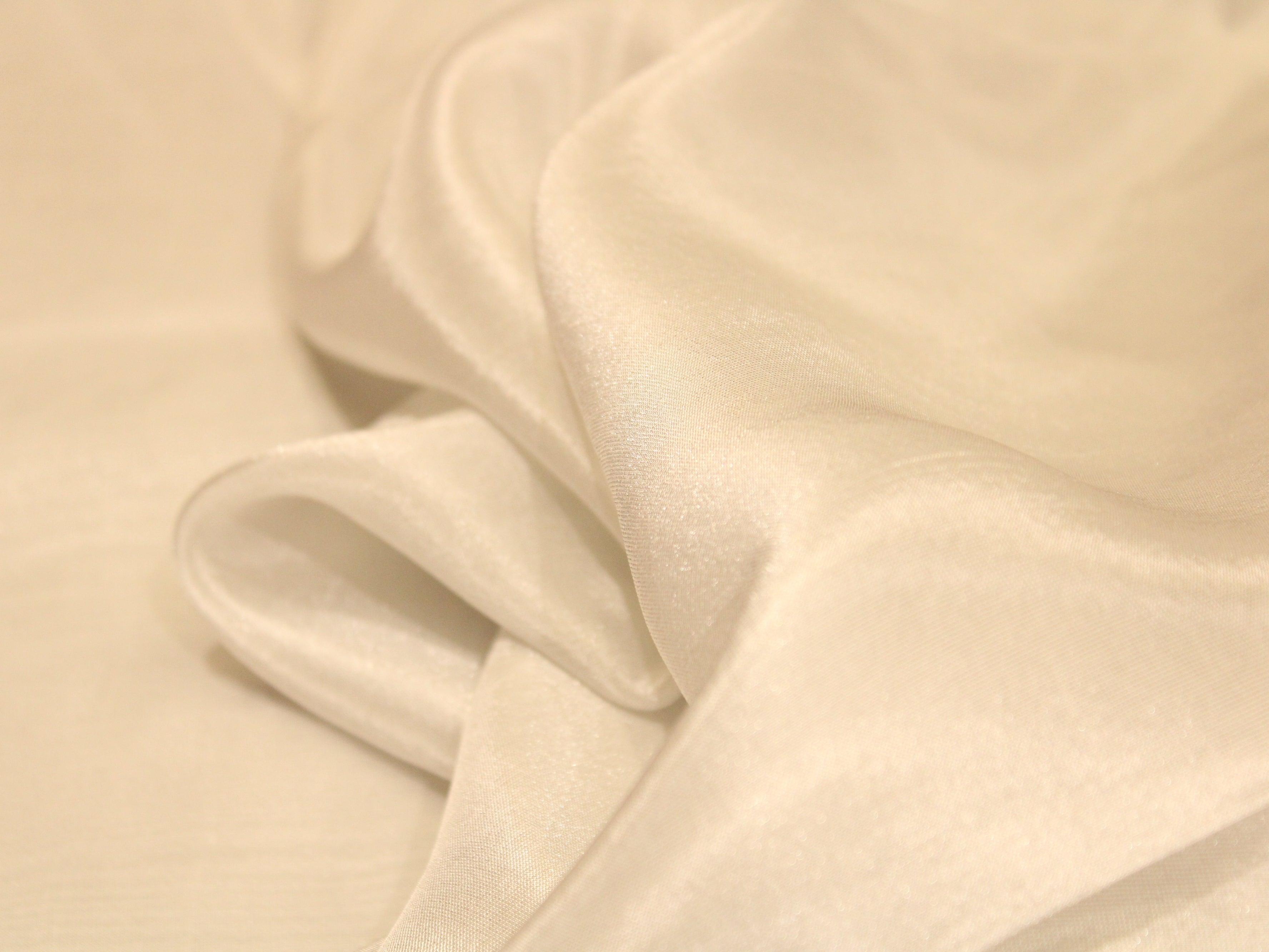 Ivory Elegance: Premium Banarasi Tissue Silk Fabric - Silver - M'Foks